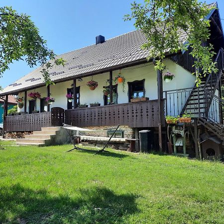 Ciprian Porumbescu Casa Bunicilorヴィラ エクステリア 写真