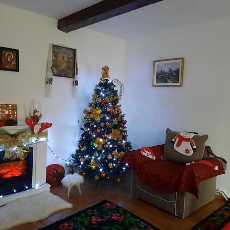 Ciprian Porumbescu Casa Bunicilorヴィラ エクステリア 写真