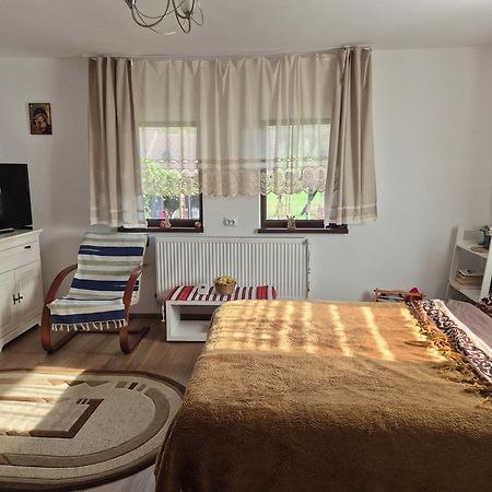 Ciprian Porumbescu Casa Bunicilorヴィラ エクステリア 写真