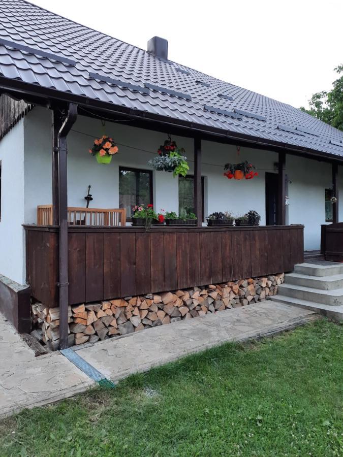 Ciprian Porumbescu Casa Bunicilorヴィラ エクステリア 写真