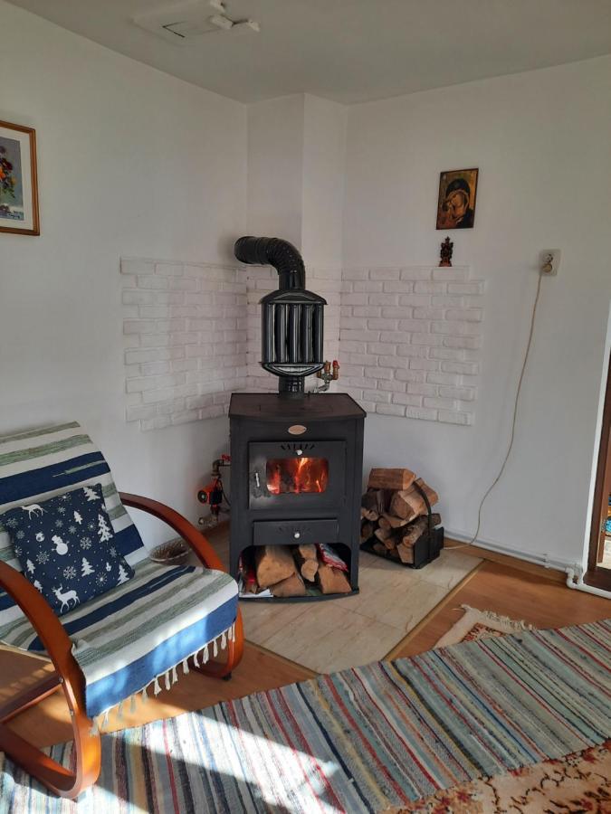 Ciprian Porumbescu Casa Bunicilorヴィラ エクステリア 写真