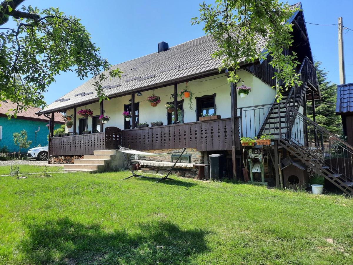 Ciprian Porumbescu Casa Bunicilorヴィラ エクステリア 写真
