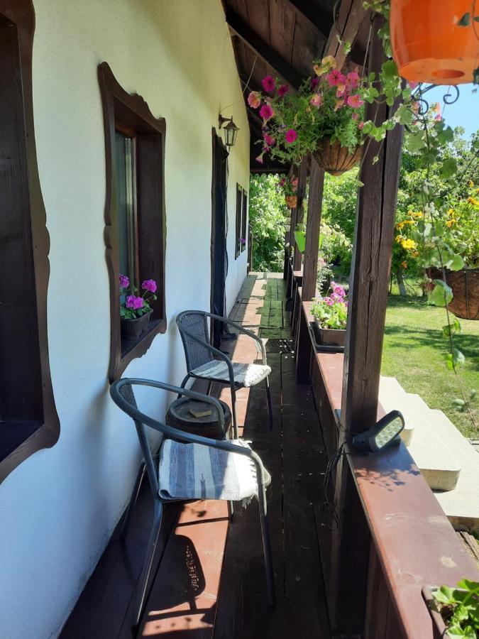 Ciprian Porumbescu Casa Bunicilorヴィラ エクステリア 写真
