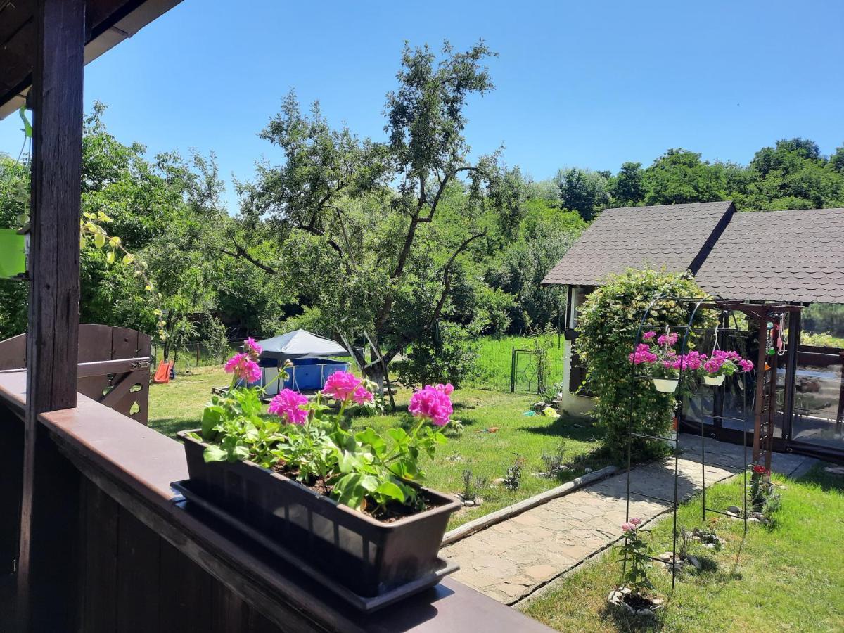Ciprian Porumbescu Casa Bunicilorヴィラ エクステリア 写真