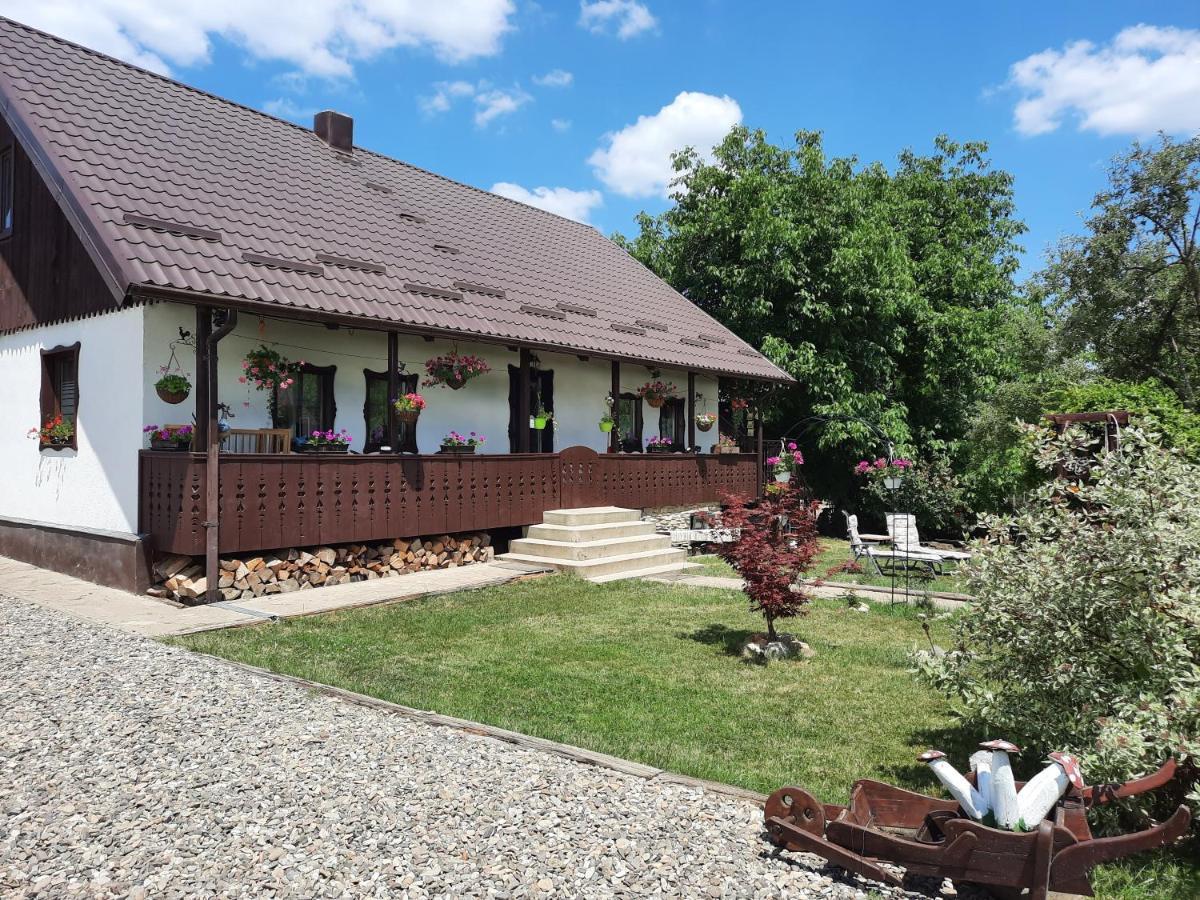 Ciprian Porumbescu Casa Bunicilorヴィラ エクステリア 写真