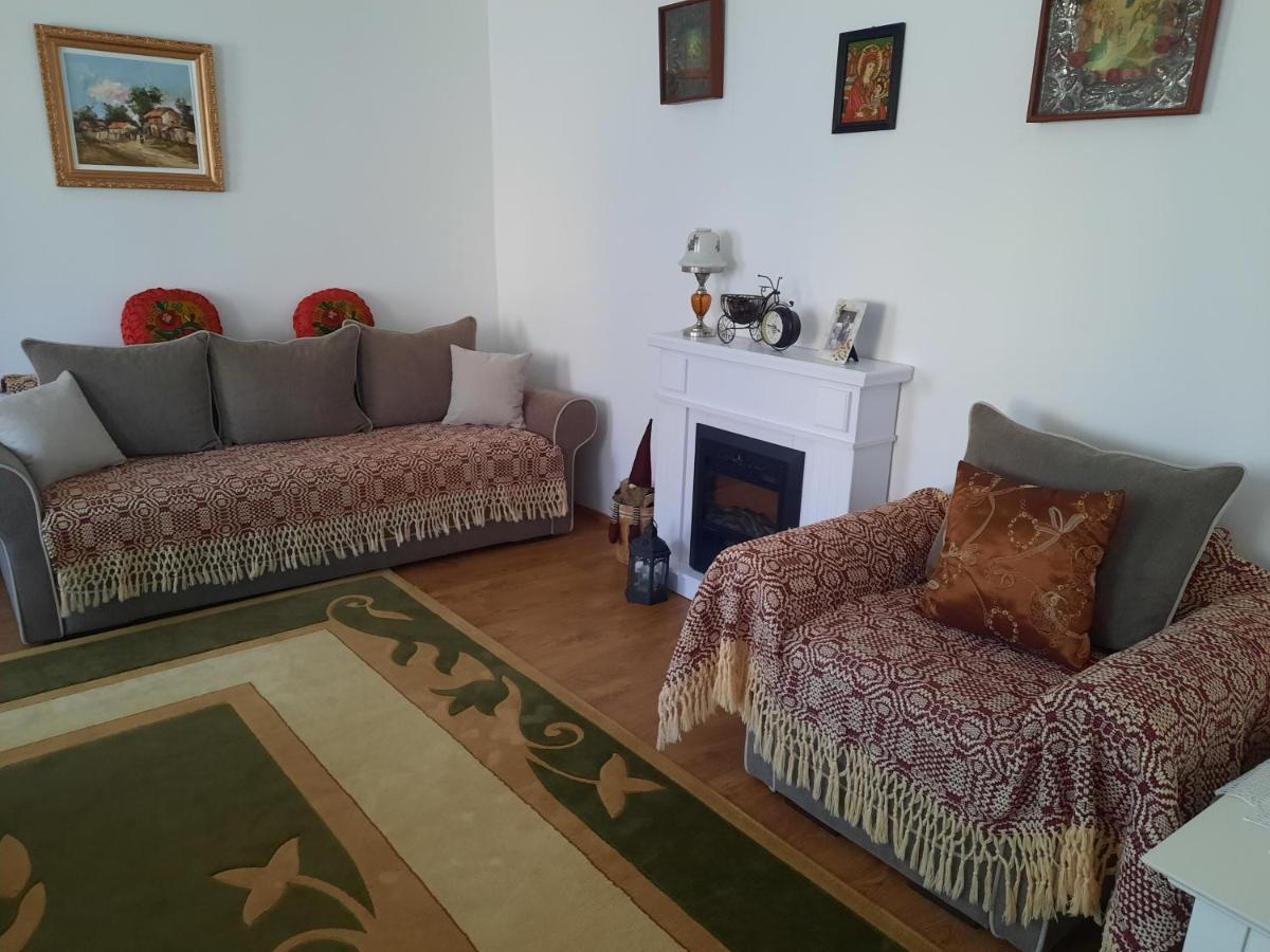 Ciprian Porumbescu Casa Bunicilorヴィラ エクステリア 写真
