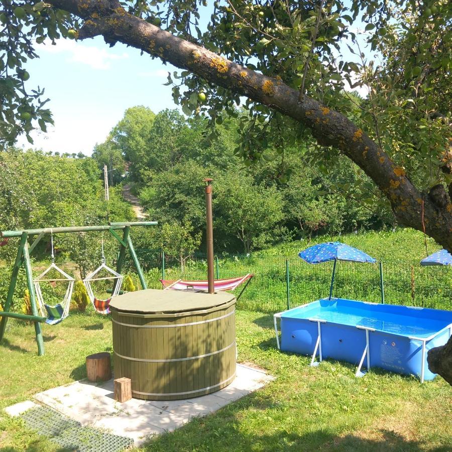 Ciprian Porumbescu Casa Bunicilorヴィラ エクステリア 写真