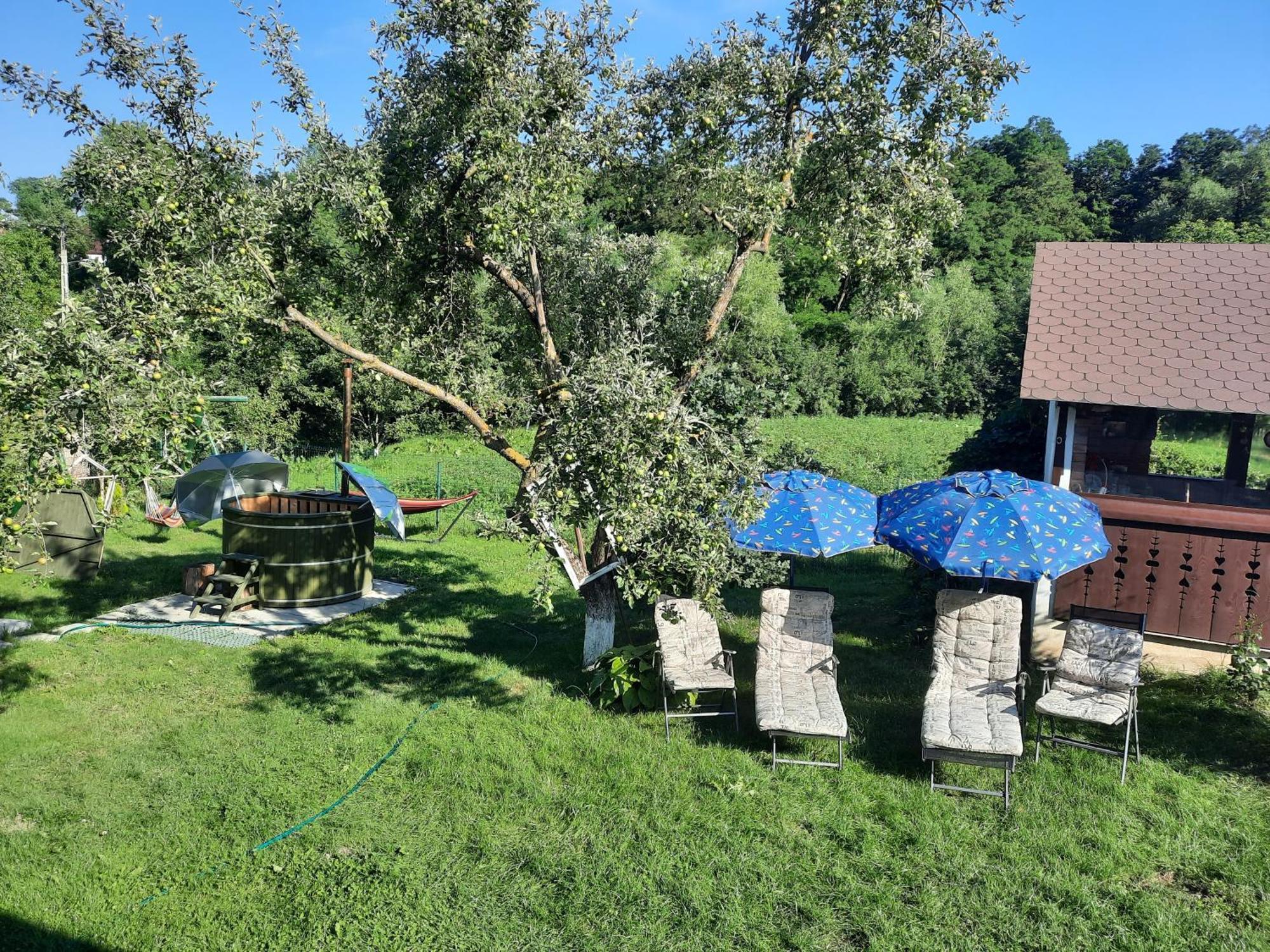 Ciprian Porumbescu Casa Bunicilorヴィラ エクステリア 写真